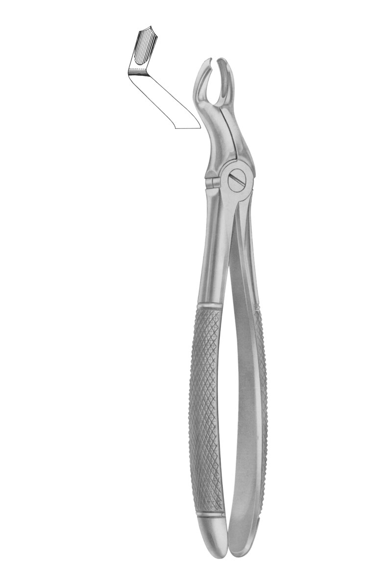 Fig. 67 ½R upper third molars right 